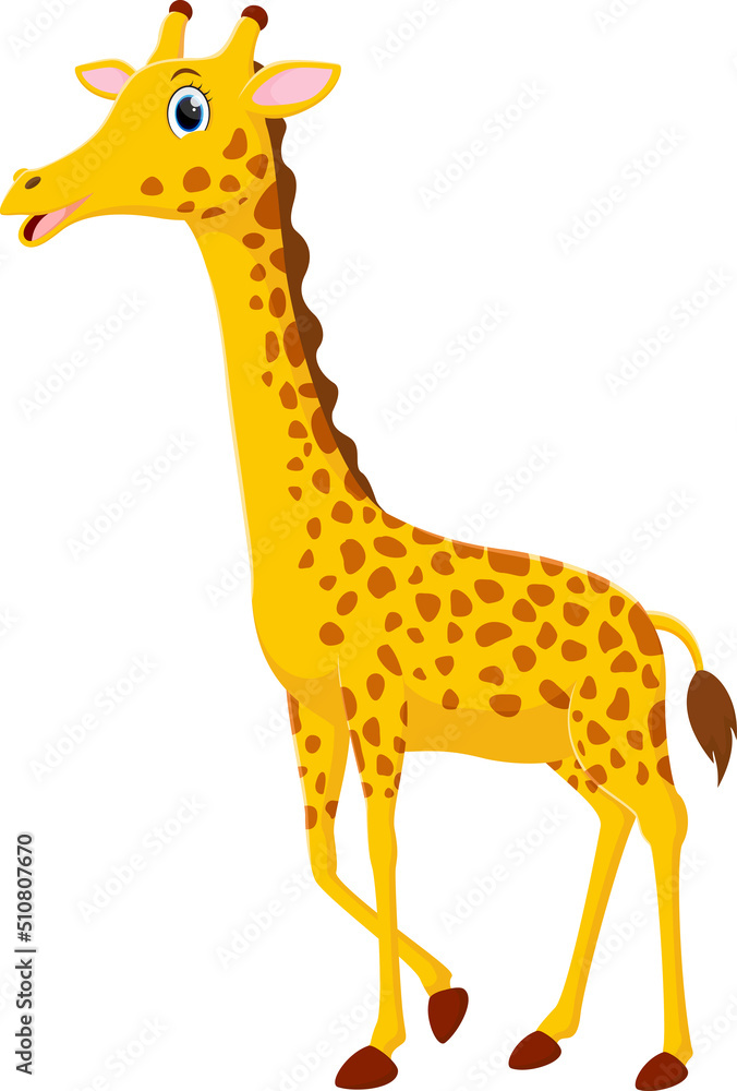 Cute giraffe cartoon isolated on white background Cute giraffe cartoon isolated on white background