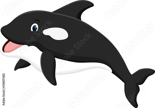 Cute killer whale cartoon isolated on white background