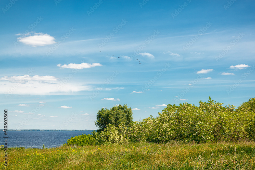 Obraz premium beautiful meadow on the hills with grass and flowers against the background of the sea and the sky