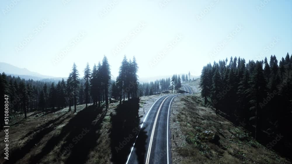 Natural Aerial view on the road and forest at the autumn time Natural Aerial view on the road and forest at the autumn time