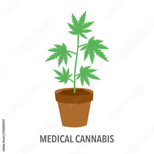 Medical cannabis plant in flat design on white background. Marijuana plant.