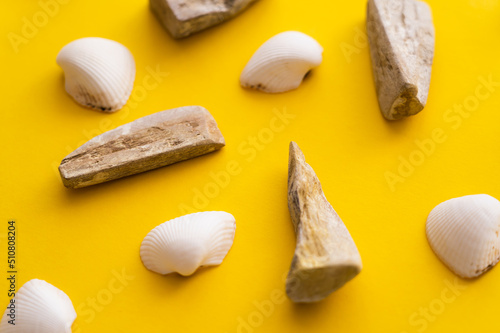 Top view of white seashells and stones on yellow background.