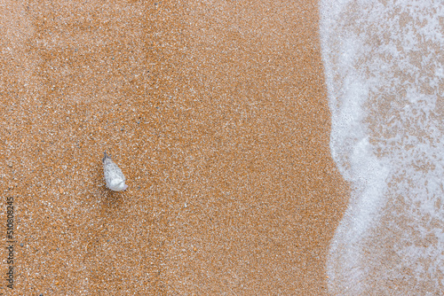 Seagull looking over a incoming wave