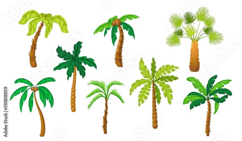 Cartoon palm tree. Flat coconut tropical palms. Isolated green jungle trees, hawaii beach plants or exotic forest. Summer island vacation neat vector symbols