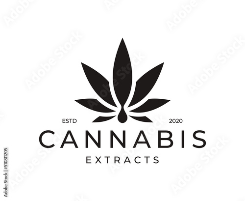 cannabis Hemp Logo design vector Template.Medical Cannabis oil logos