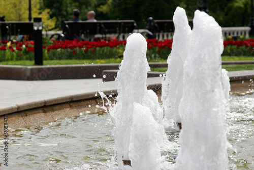 Fountain and flower beds with tulips.