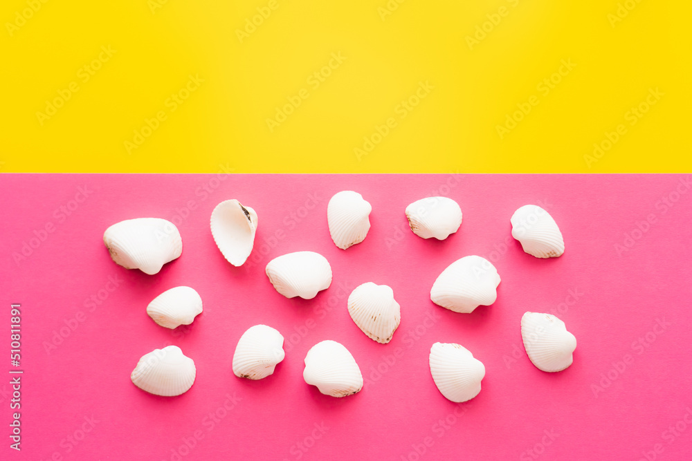 Top view of white seashells on yellow and pink background.