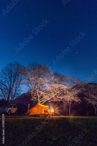 夜桜キャンプ