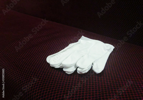 Freemason's White Craft Gloves