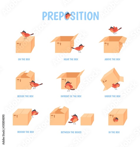 Bird preposition. Preschool education topologia, child grammar vocabulary english words around box prepositions place above below under behind up, neat poster vector illustration