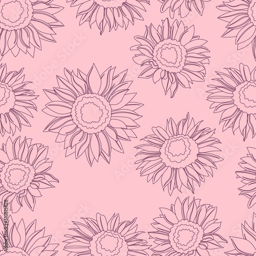 Seamless pattern with sunflowers. Flowers lines in pink.