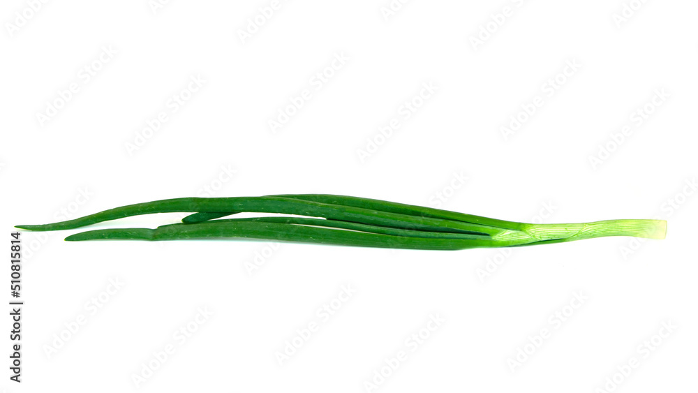 Fresh Green onion isolated on white background