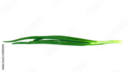 Fresh Green onion isolated on white background