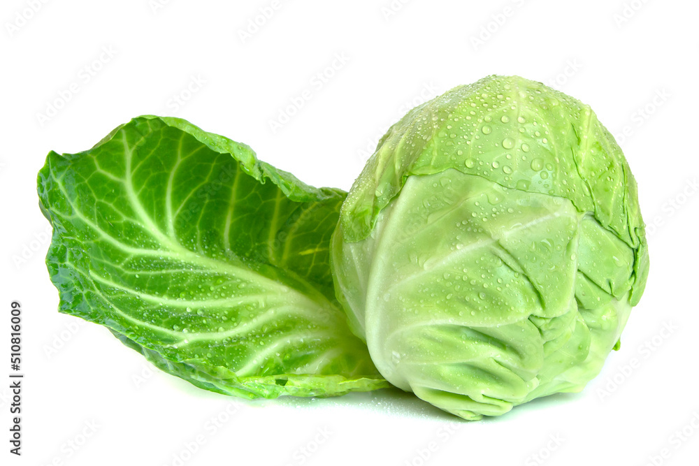 cabbage with drops of water isolated on white background cabbage with drops of water isolated on white background