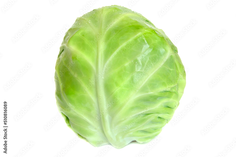 Green whole cabbage isolated on white background Green whole cabbage isolated on white background