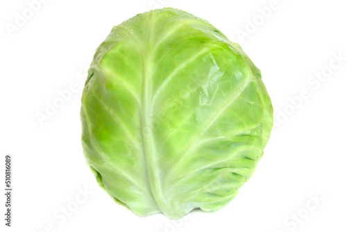 Green whole cabbage isolated on white background