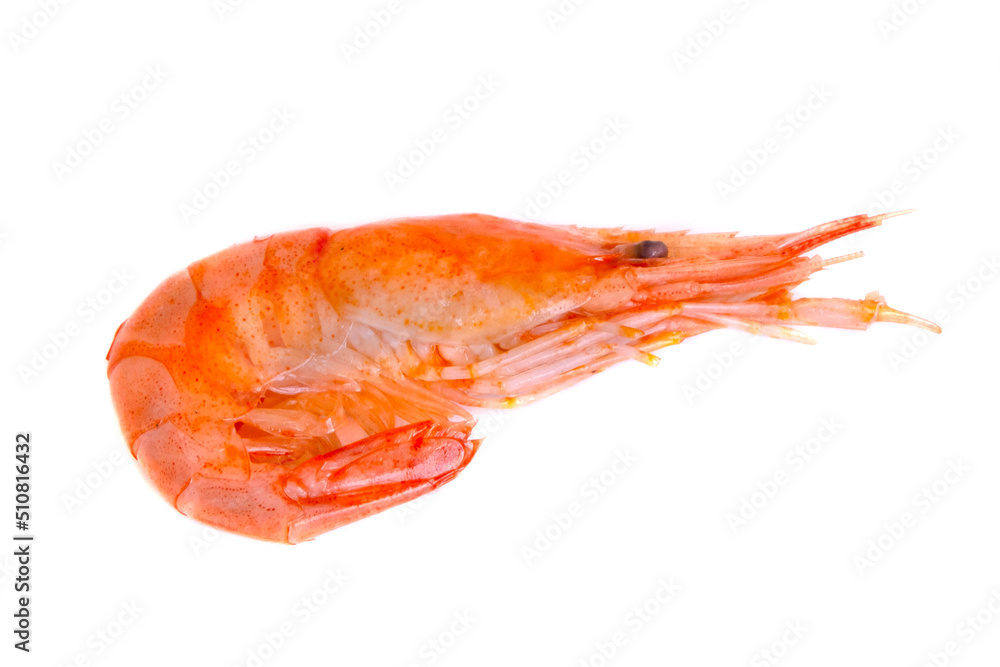 Red cooked prawn or shrimp isolated on white background Red cooked prawn or shrimp isolated on white background