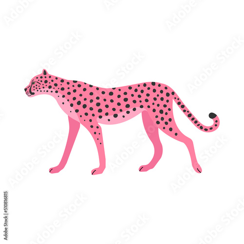 Vector flat hand drawn pink cheetah isolated on white background