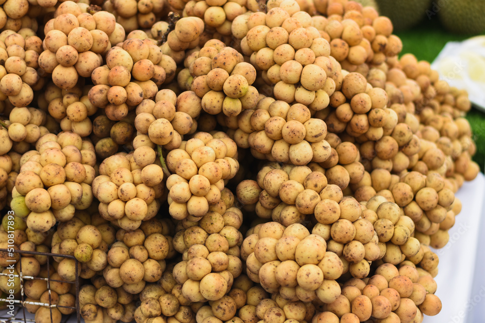 Longkong fruit for sale in the market Longkong fruit for sale in the market