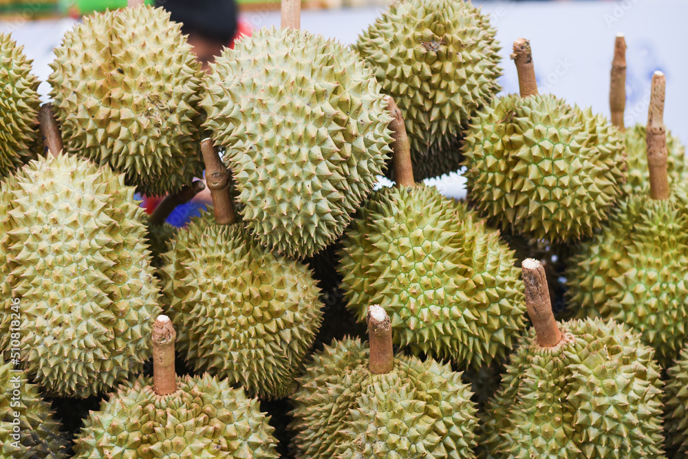 Durian fruit for sale to buyers in the Thai fruit market Durian is known as the fruit king of Thailand. Durian fruit for sale to buyers in the Thai fruit market Durian is known as the fruit king of Thailand.