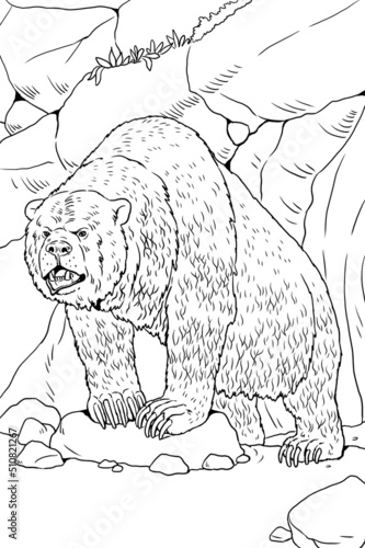 Prehistoric animals - cave bear. Drawing with extinct animals. Template for coloring book.