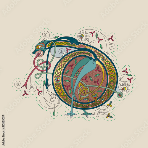 Illuminated, Medieval Initial Letter D combining animal body parts from a Dog, tendrils and endless Celtic knot ornaments