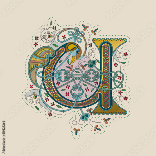 Illuminated, Medieval Initial Letter U combining animal body parts from a Swan, tendrils and endless Celtic knot ornaments