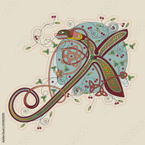 Illuminated, Medieval Initial Letter X combining animal body parts from a Dog and a Dragonfly, tendrils and endless Celtic knot ornaments