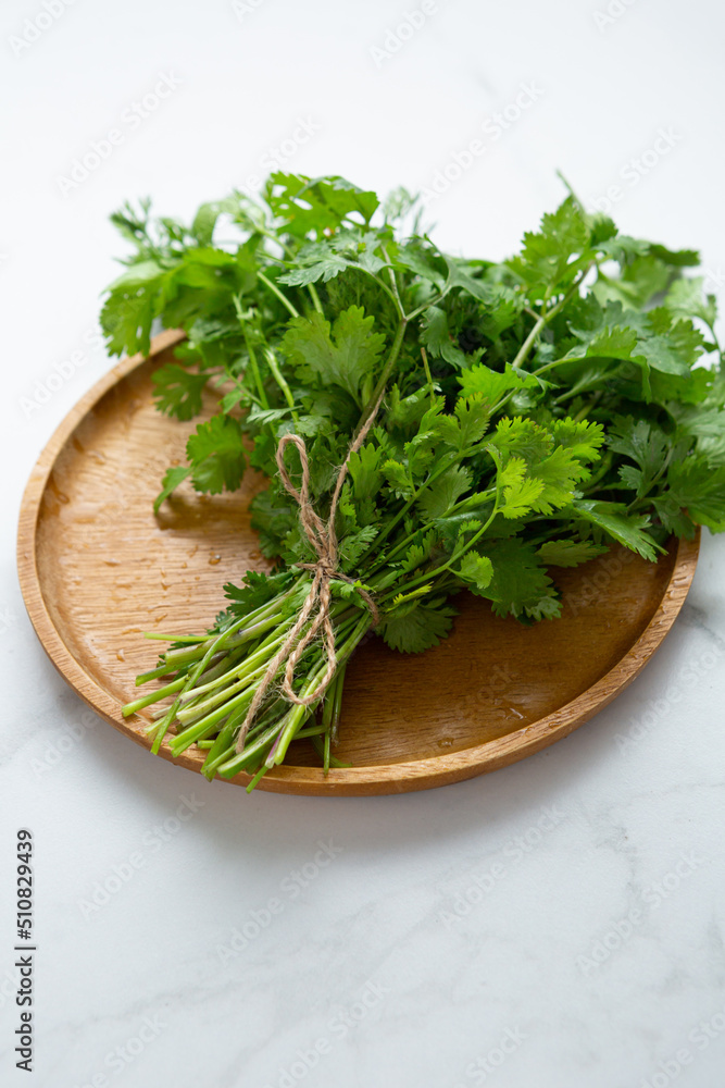Fresh cilantro bunch on wooden plate organic herbs Fresh cilantro bunch on wooden plate organic herbs
