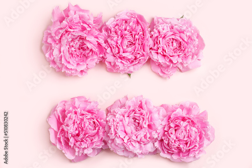 Wallpaper Mural Composition of pink peonies on a pastel pink background. Greeting card mockup Torontodigital.ca