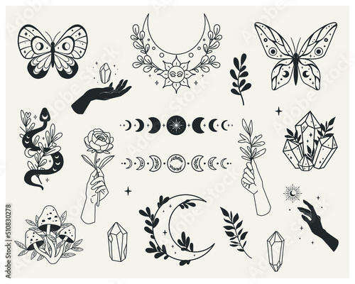 Set of mystical forest elements - moon phases, crystals, witchy hands, snake, mushrooms, floral moon, butterflies, twigs. Vector with a slotted pattern. This collection will be great for design of mys photo