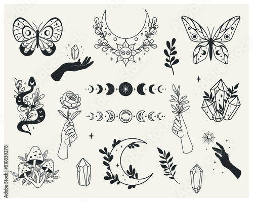 Set of mystical forest elements - moon phases, crystals, witchy hands, snake, mushrooms, floral moon, butterflies, twigs. Vector with a slotted pattern. This collection will be great for design of mys