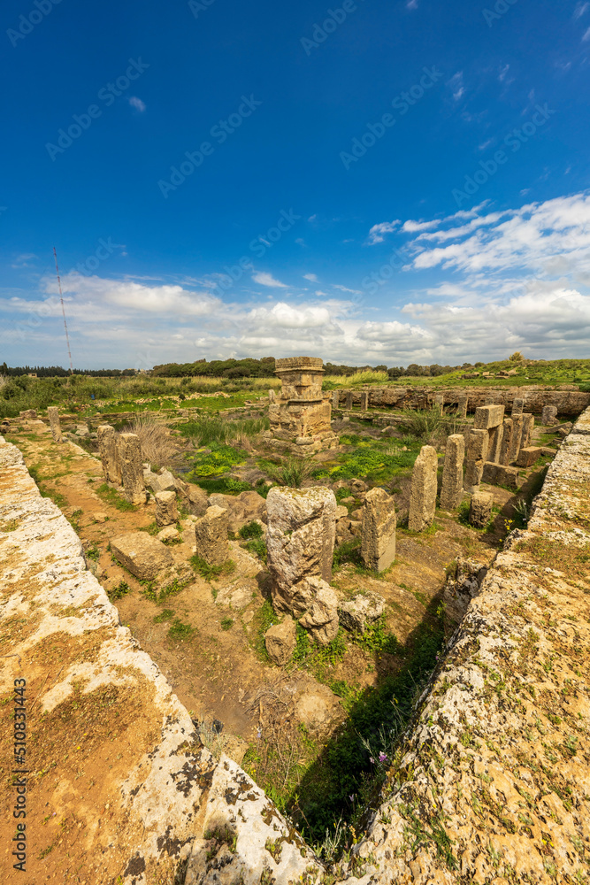 The Temple of Amrit. Amrit is one of the best preserved Phoenician settlements. It is located close to Tartus, Syria.