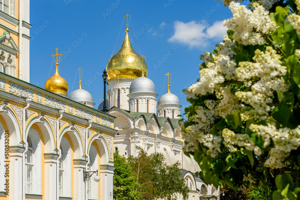 Arkhangelsky cathedral of Moscow Kremlin in spring, Russia