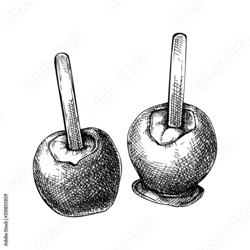 Caramel apples vector illustrations. Hand drawn food drawing. Traditional Christmas dessert sketch. for recipe, menu, label, packaging, Vintage caramel apples for holiday design