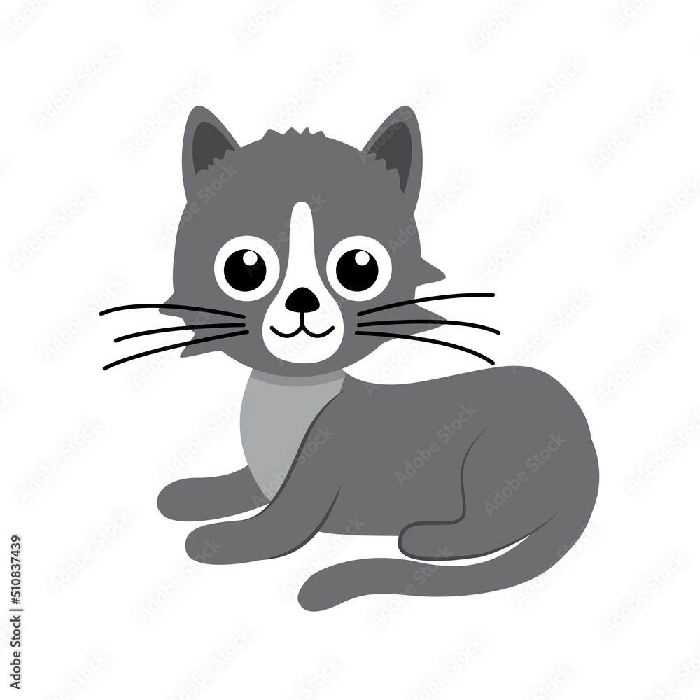 Grey kitty lies. Cat, kitten. Flat, cartoon, vector