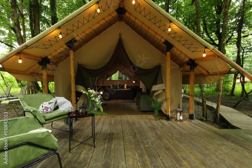 glamping in the green forest, camping in a tent