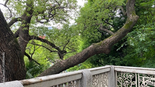 The retro handrail over the entry to the bridge of Kanda river, central Tokyo Ochanomizu to Yushima area, nostalgic scenery with old beautiful tree branch.  Shot taken on year 2022 June 14th photo