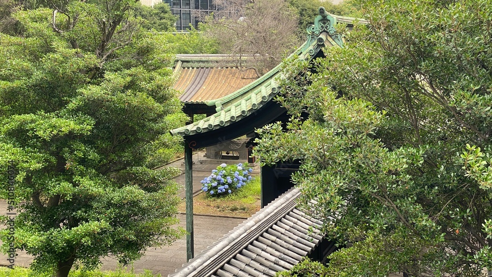 The rooftop of ancient shrine that used to be a school, “Yushima Seido” from the bridge overlooking the historic property.  Built in the 17th century.  Shot taken on year 2022 June 14th