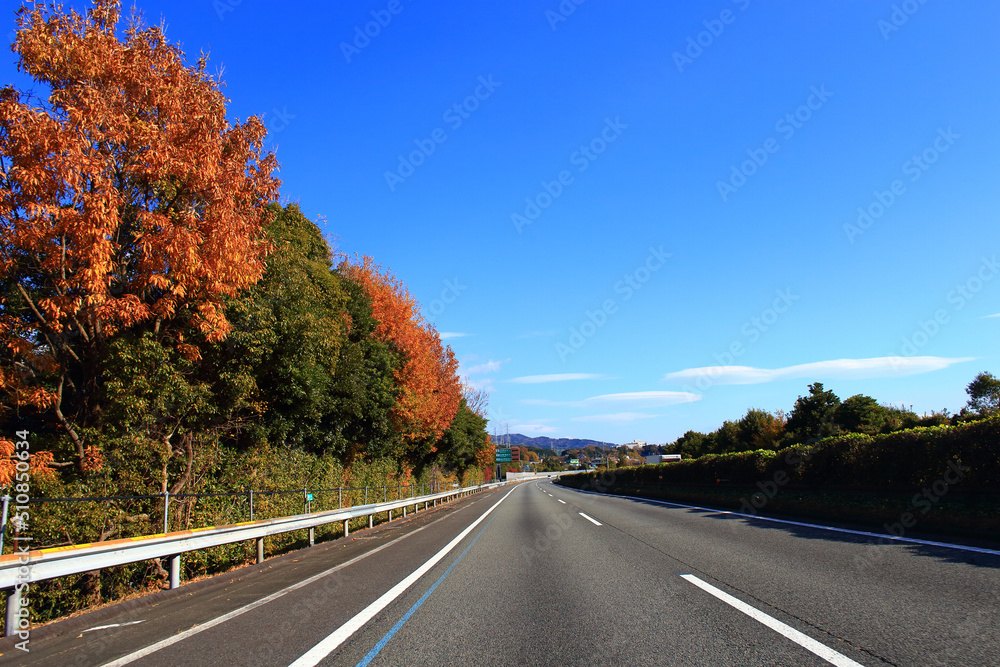 Fototapeta premium 秋の東名高速道路
