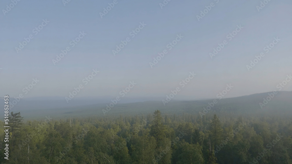 Mountain peaks view mountain forest trees. Mountainous terrain and forest in the fog. Beautiful forest and mountain