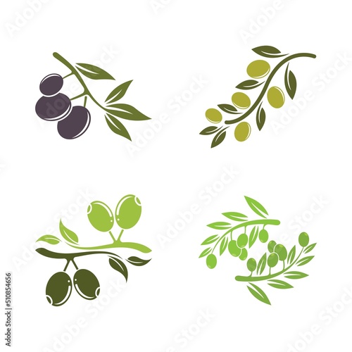 olive icon vector illustration
