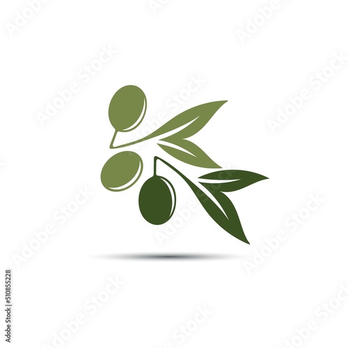 olive icon vector illustration