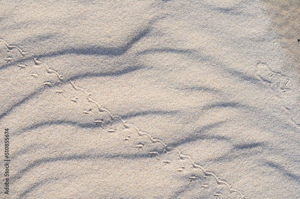 Sand patterns in Juan Lacaze's Beach, Colonia, Uruguay Sand patterns in Juan Lacaze's Beach, Colonia, Uruguay