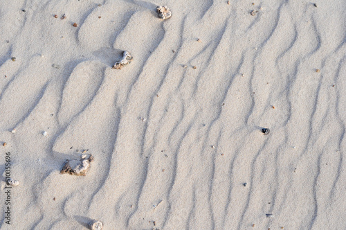 Sand patterns in Juan Lacaze's Beach, Colonia, Uruguay photo