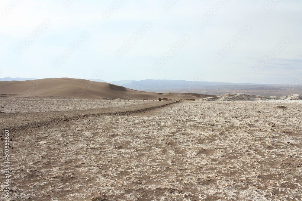 Moon valley of Atacama desert	