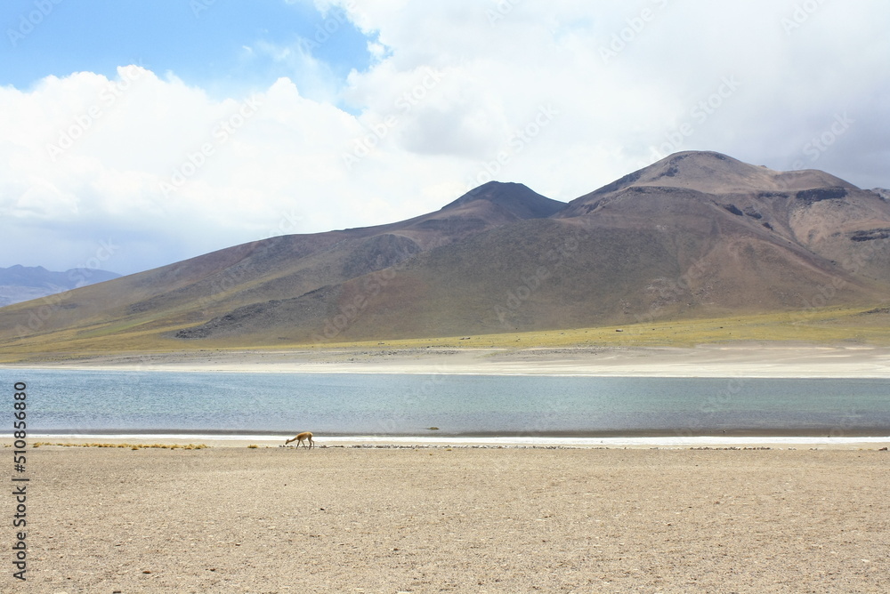 Salt lagunas and volcanos and red rocks southern from San Pedro de Atacama. Stunning scenery at Atacama desert, Chile, South America