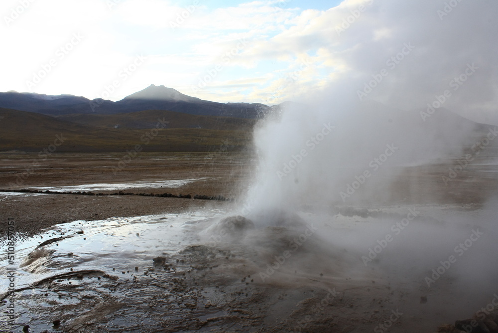 El Tatio hot springs (geisers del tatio), located in Atacama region, in Chile. 