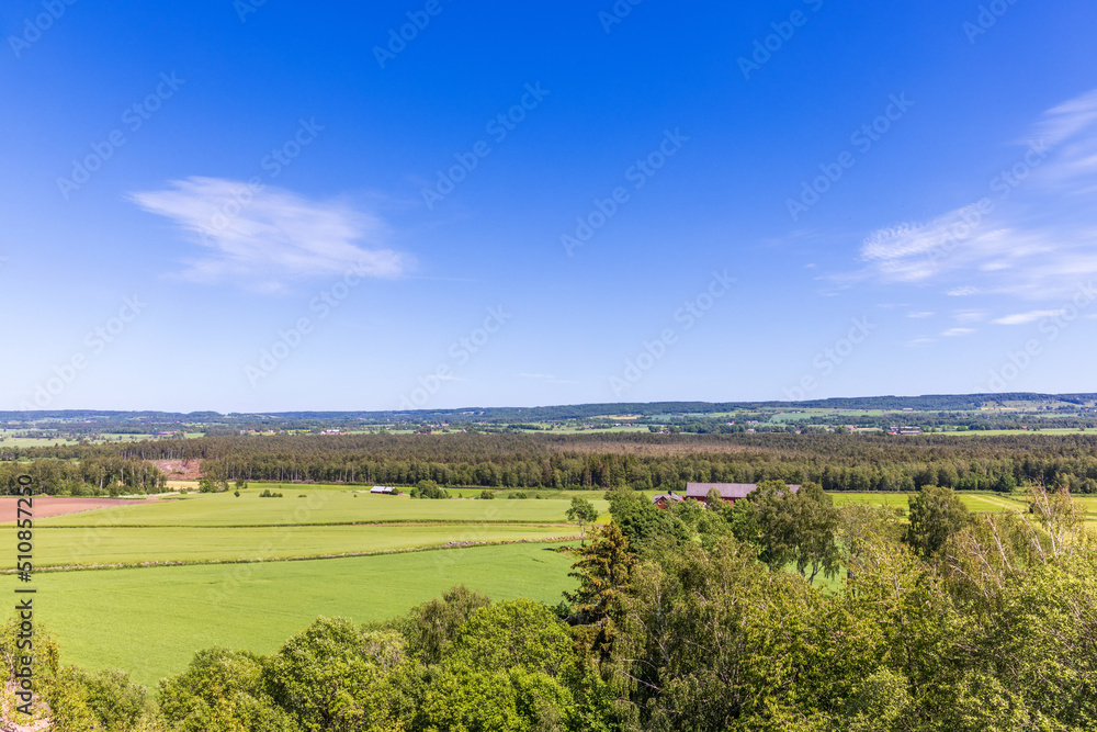 High angle view at a farmland in the summer