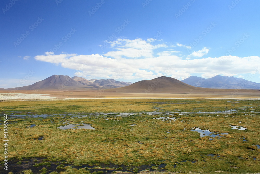 Panoramic view over the Atacama desert near Salar de Tara in Chile
